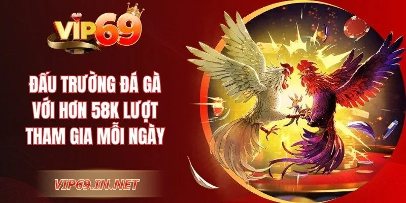 VIP69 - Link Trang Chủ VIP69 Chính Thức | Đăng Ký +69 USDT Đấu trường đá gà với hơn 58K lượt tham gia mỗi ngày